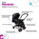 Preto Rajado